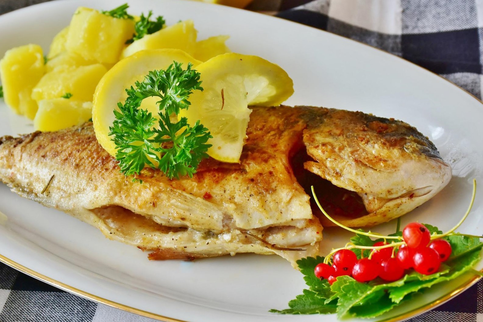 Dorada a la Espalda