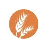 Sin Gluten